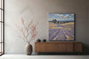 Lavender fields